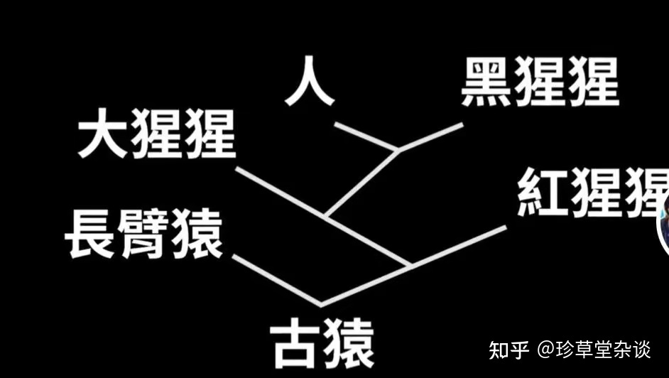 一口气读不完的中国五千年简史｜前传-4.jpg