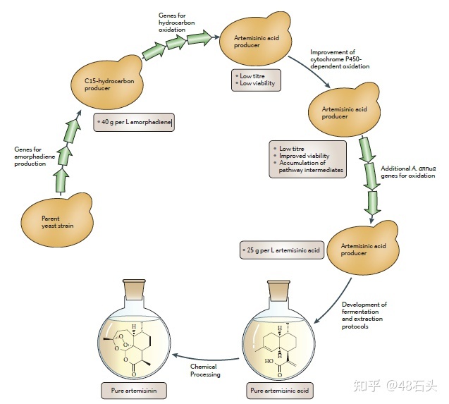 合成生物学在药物研发中的应用881 / 作者:塞上云烟辣 / 帖子ID:114995