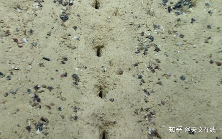 外星人？在海底？这是真的吗？263 / 作者:吖咩嘚咩s / 帖子ID:115085