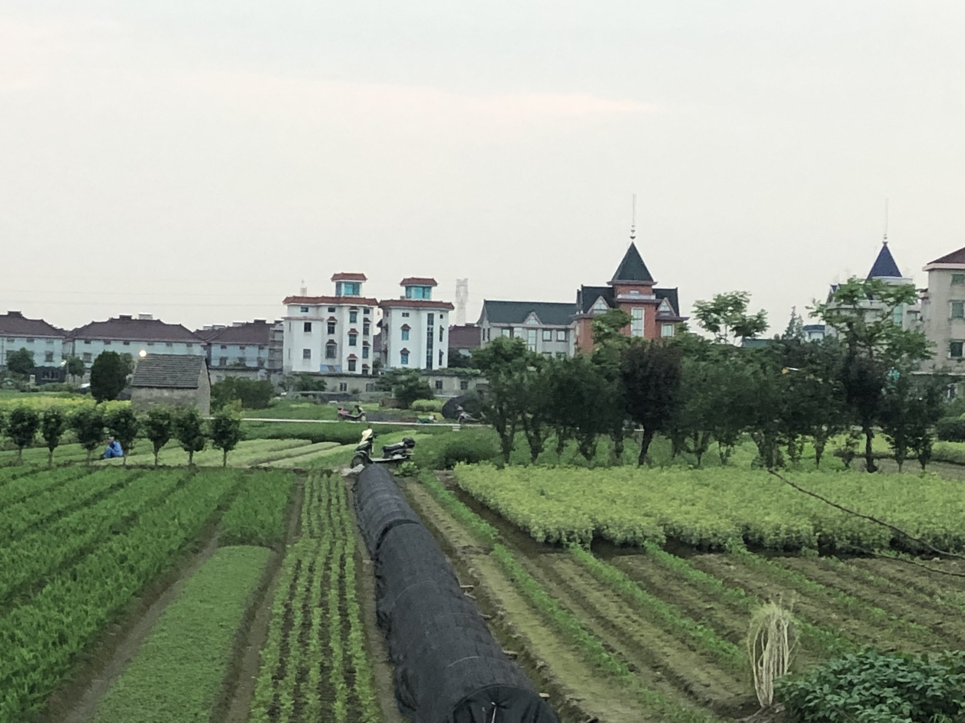 为什么还是有很多人不相信UFO的存在？442 / 作者:二级传播盅 / 帖子ID:115144