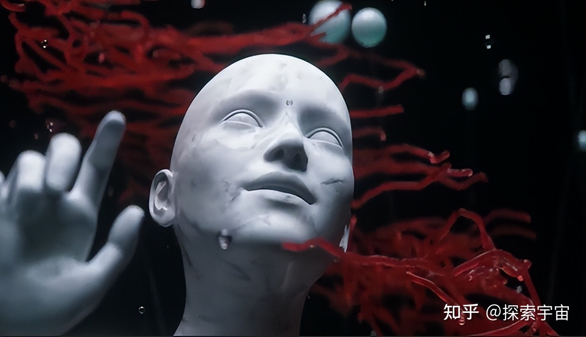 如果宇宙中存在硅基生命，那么和碳基生命相比，哪一个更 ...407 / 作者:Runlinh / 帖子ID:115145