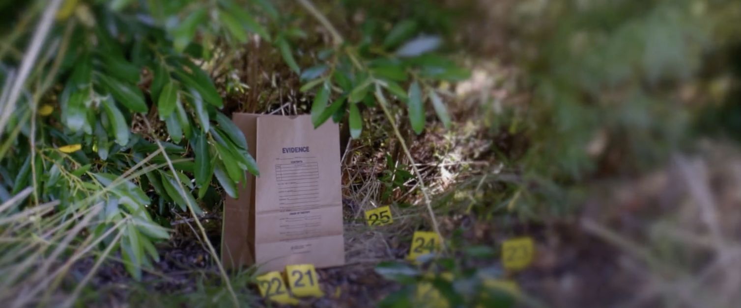 挪威“死亡之谷”女尸悬案，线索多却无法破案，她到底是谁 ...3 / 作者:风格飘逸风i / 帖子ID:115153