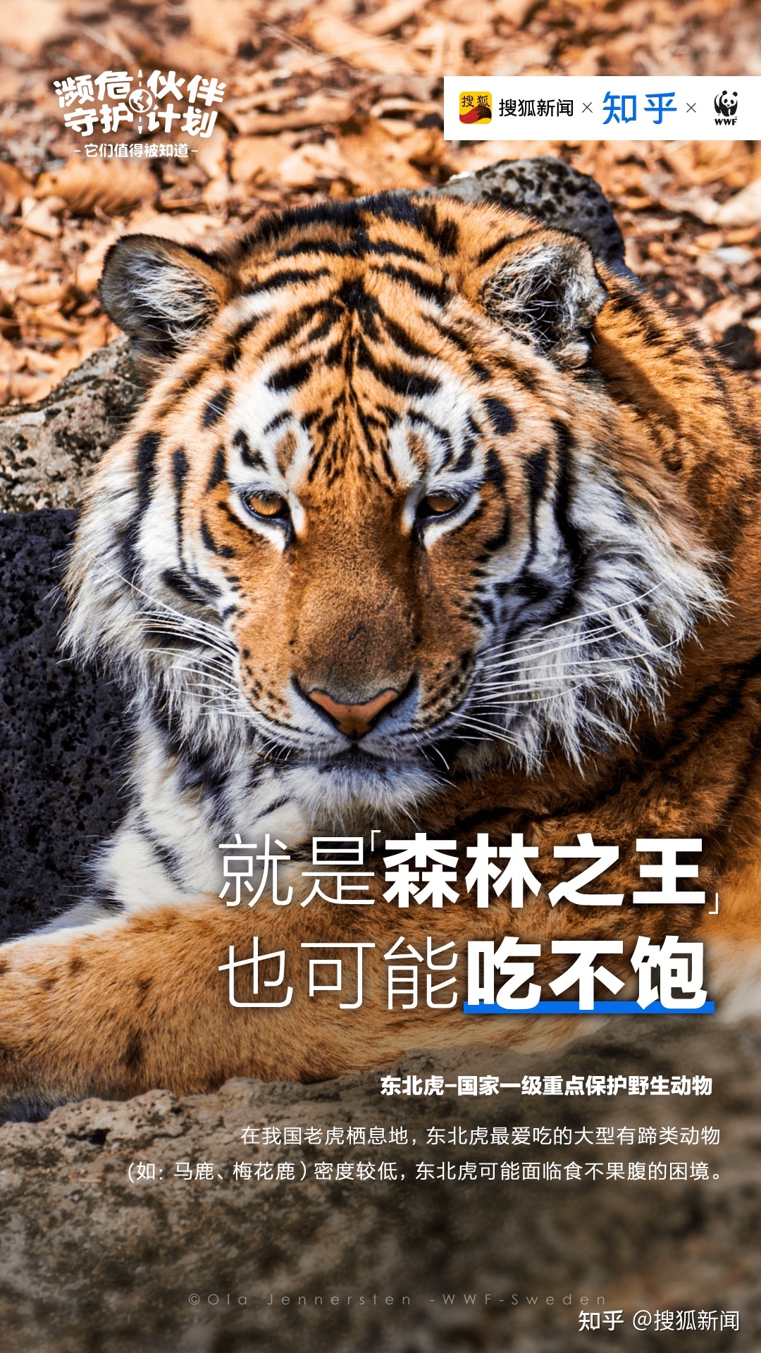 作为地球上的“极少数”，它们值得被看见512 / 作者:hdnnuz62 / 帖子ID:115182
