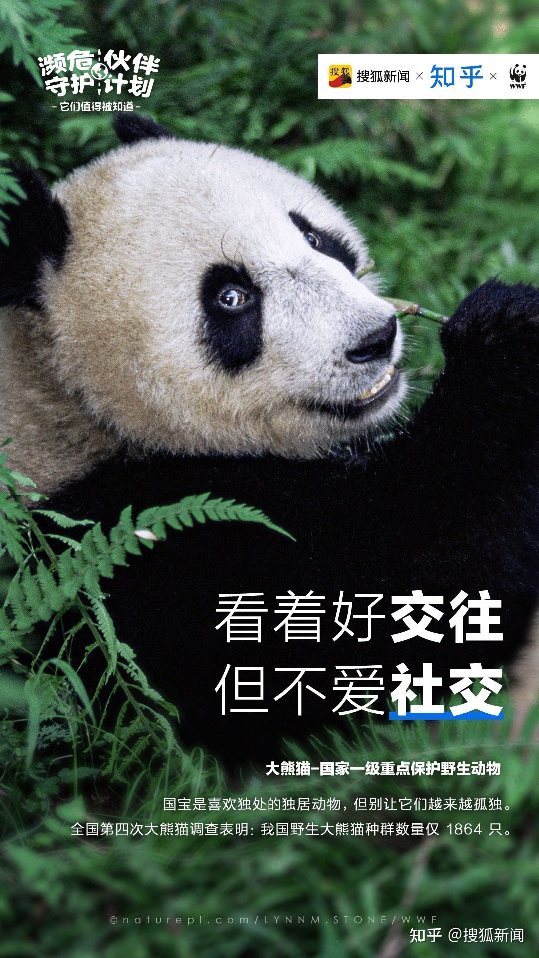 作为地球上的“极少数”，它们值得被看见523 / 作者:hdnnuz62 / 帖子ID:115182