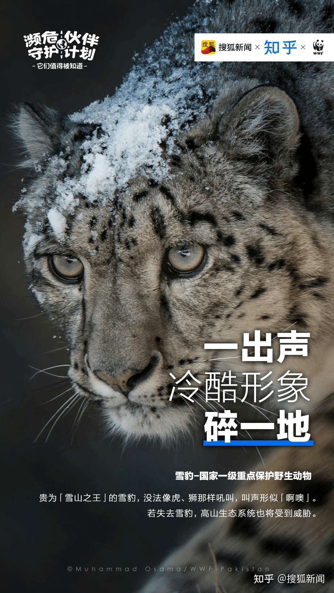 作为地球上的“极少数”，它们值得被看见630 / 作者:hdnnuz62 / 帖子ID:115182