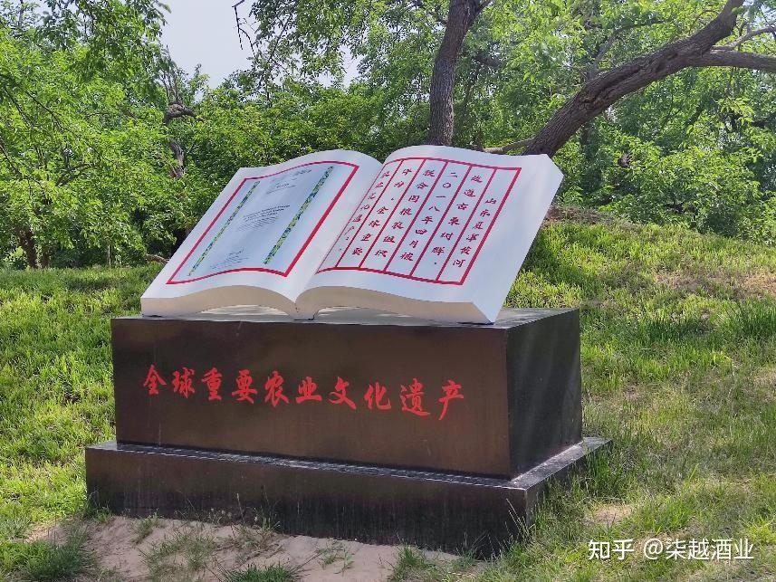 植树节｜你知道世界上树龄最长的桑树在哪儿吗？171 / 作者:信森好帝 / 帖子ID:115184