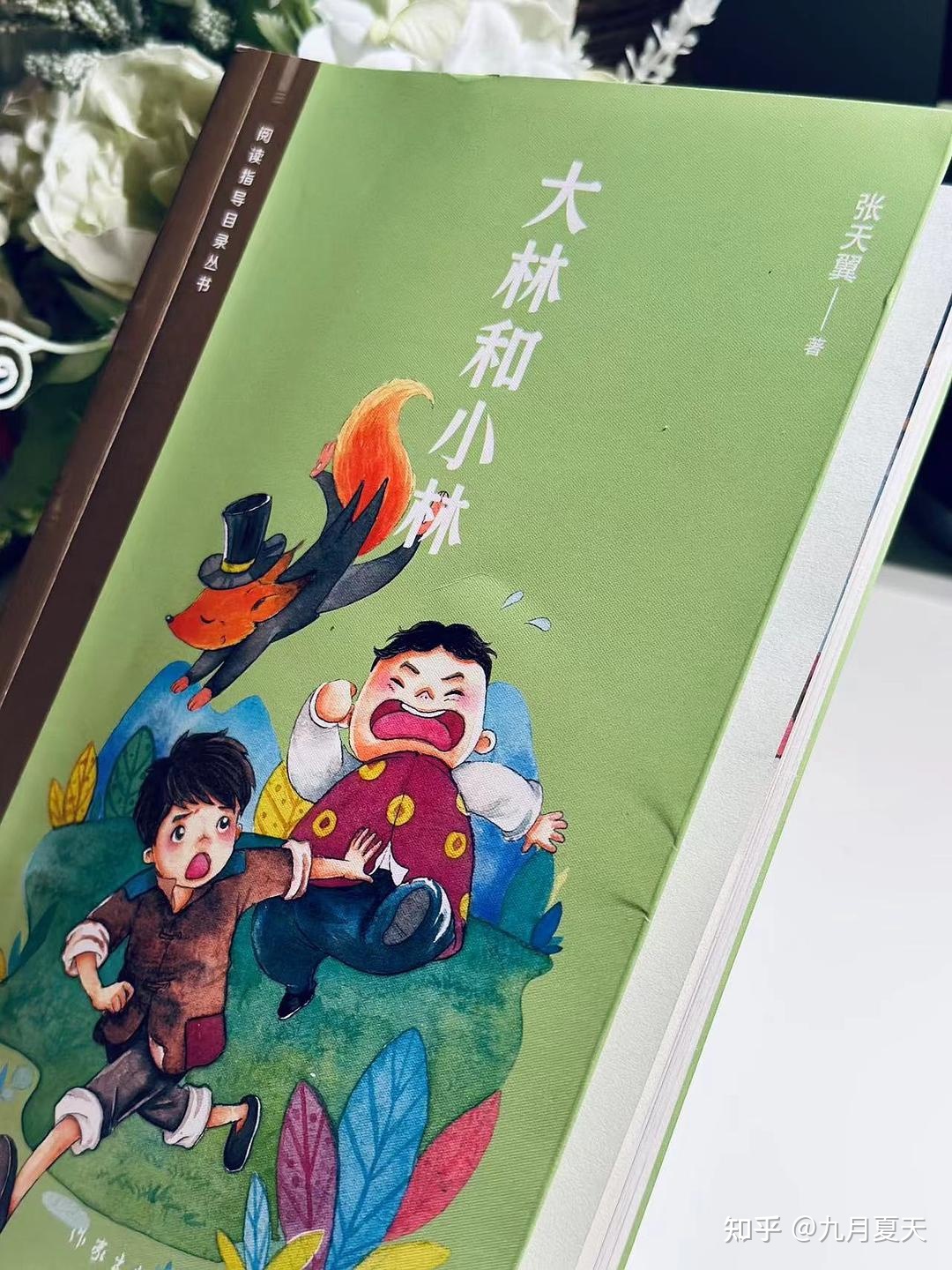 童话故事书的历史书之《大林和小林》-1.jpg