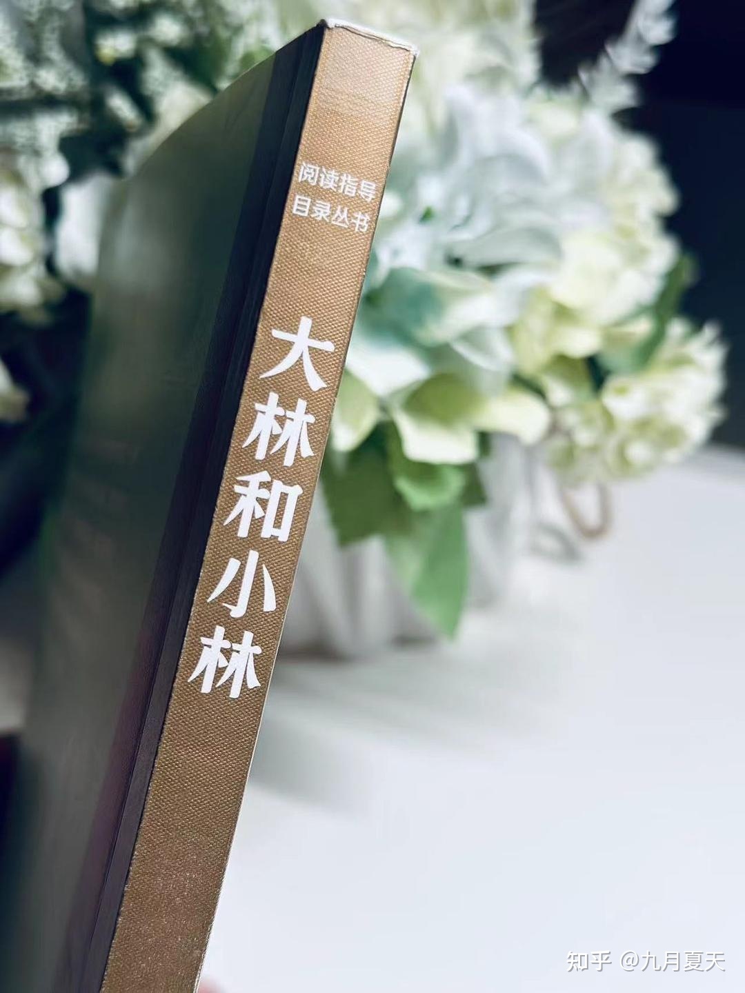 童话故事书的历史书之《大林和小林》-2.jpg