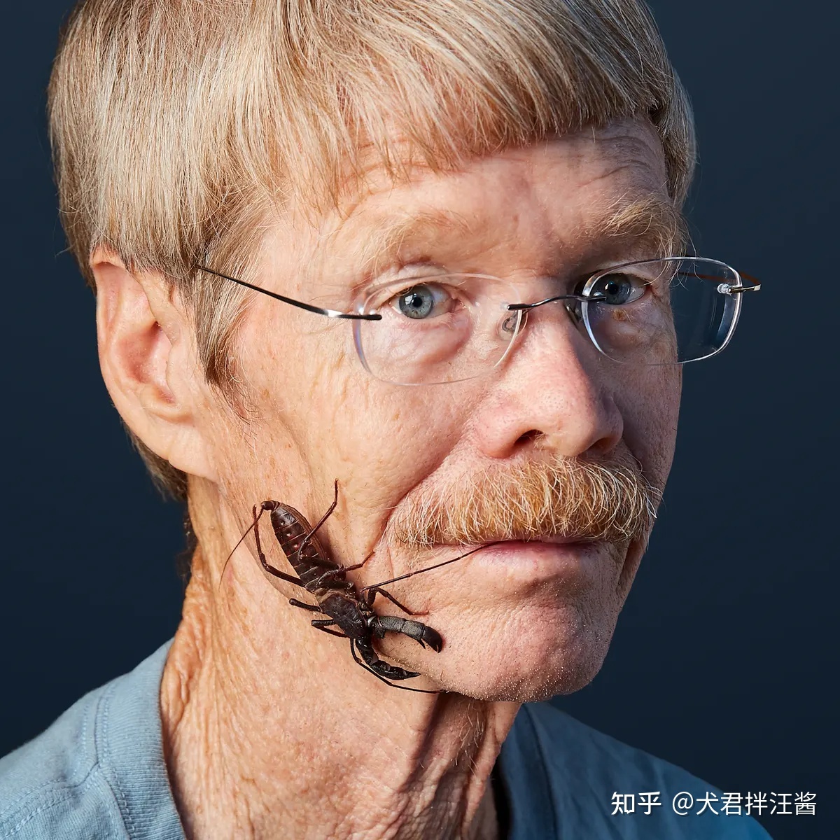 世界上有哪些剧毒的昆虫？被它们咬伤会有什么后果？468 / 作者:小坠泪缆 / 帖子ID:115239