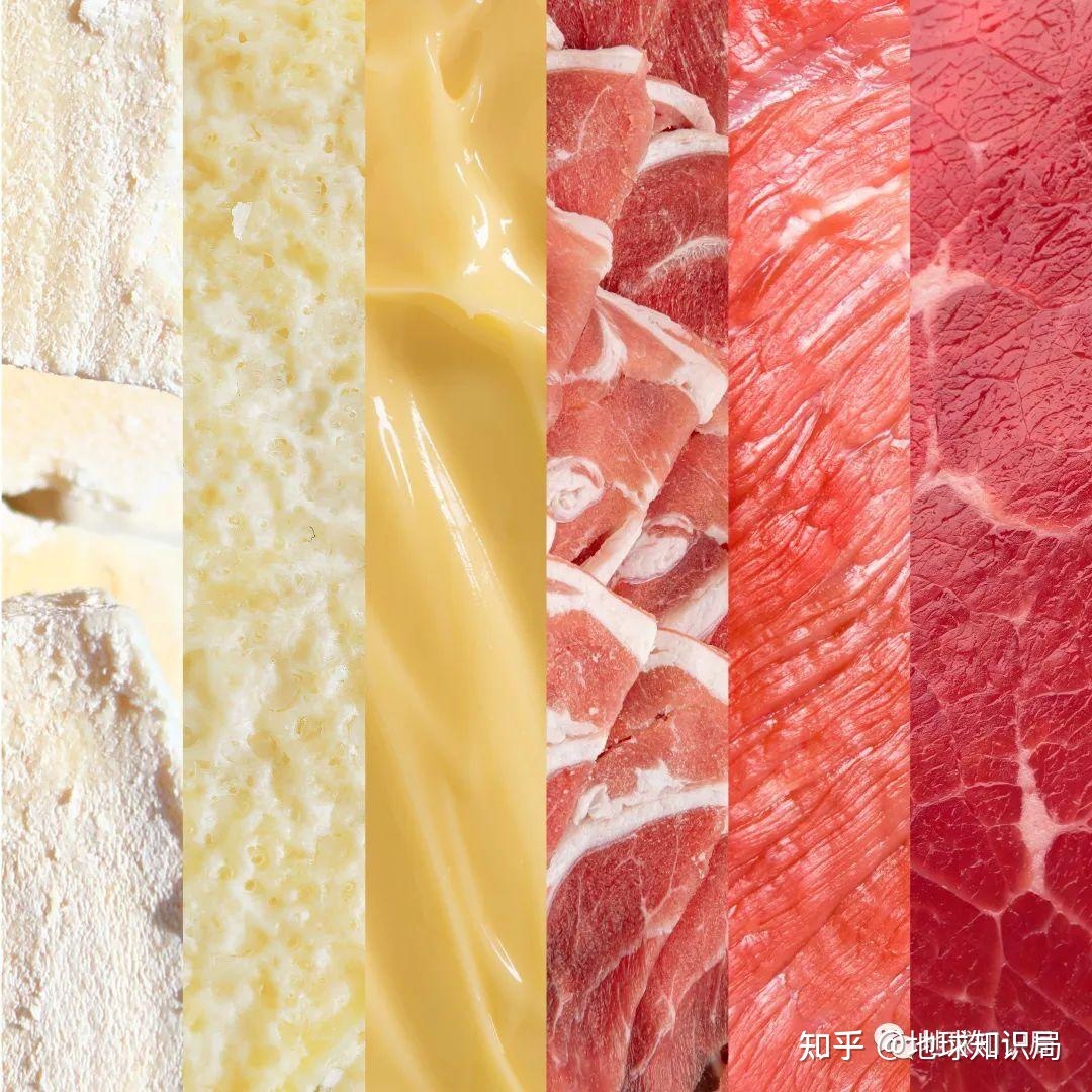 蒙古人，喝奶！吃肉！| 地球知识局306 / 作者:卡庙寺 / 帖子ID:115262
