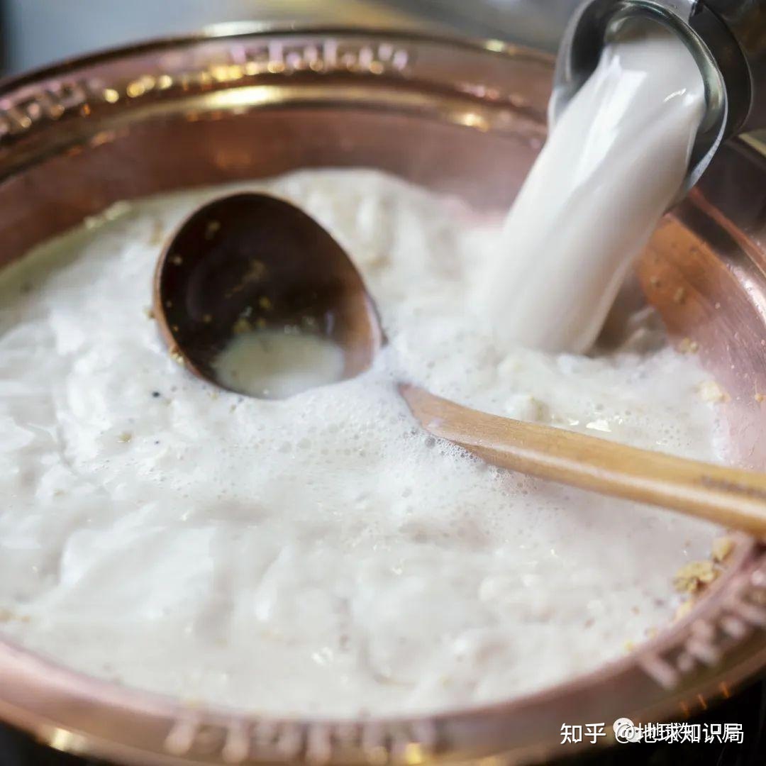 蒙古人，喝奶！吃肉！| 地球知识局307 / 作者:卡庙寺 / 帖子ID:115262