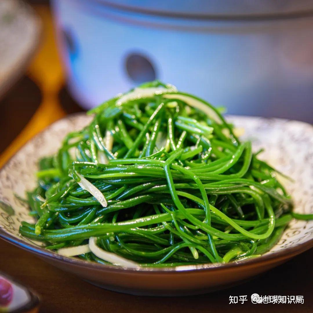 蒙古人，喝奶！吃肉！| 地球知识局416 / 作者:卡庙寺 / 帖子ID:115262