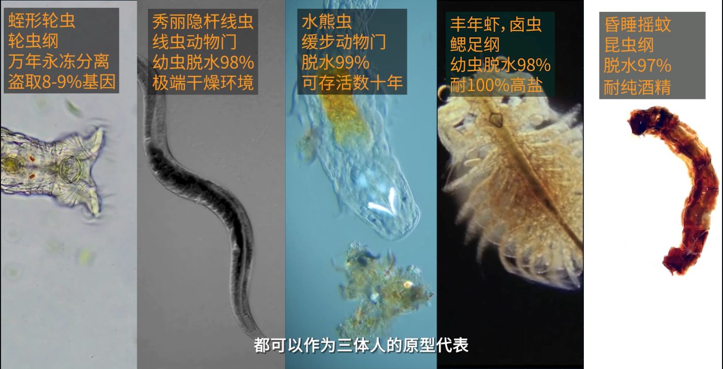 三体人脱水复活，在生物学上真的可行吗？463 / 作者:精诚通潭 / 帖子ID:115296