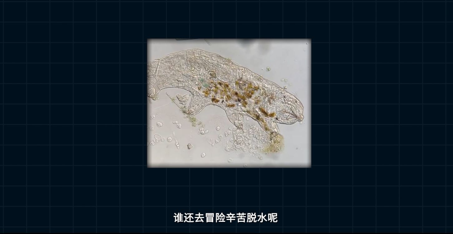 三体人脱水复活，在生物学上真的可行吗？596 / 作者:精诚通潭 / 帖子ID:115296
