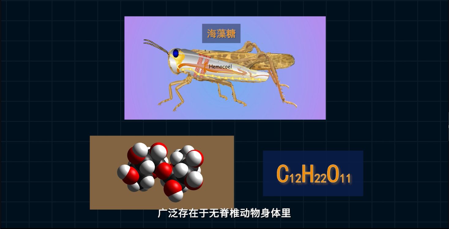 三体人脱水复活，在生物学上真的可行吗？120 / 作者:精诚通潭 / 帖子ID:115296