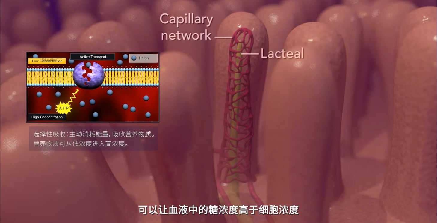 三体人脱水复活，在生物学上真的可行吗？129 / 作者:精诚通潭 / 帖子ID:115296