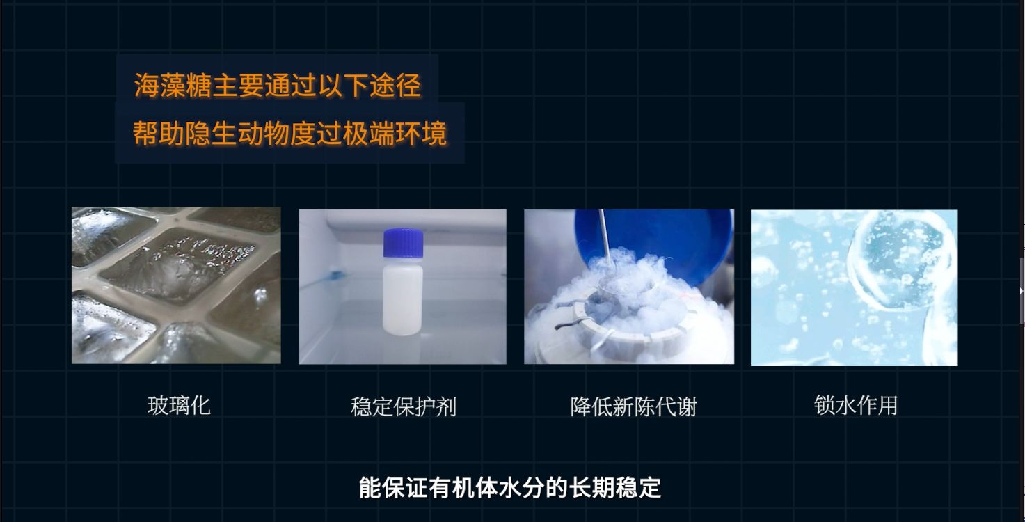 三体人脱水复活，在生物学上真的可行吗？745 / 作者:精诚通潭 / 帖子ID:115296