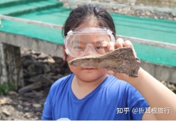 “神奇山水，多彩贵州”研学之旅252 / 作者:玻璃杯儿敌 / 帖子ID:115299