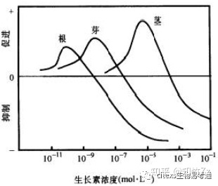 普通生物学高频考点（二十二）之植物激素内容及思维导图 ...668 / 作者:刘久田 / 帖子ID:115315
