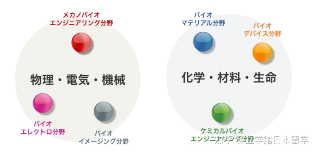 日本升学：生物学修考上岸，你必须知道的成功秘诀！801 / 作者:123457848 / 帖子ID:115324
