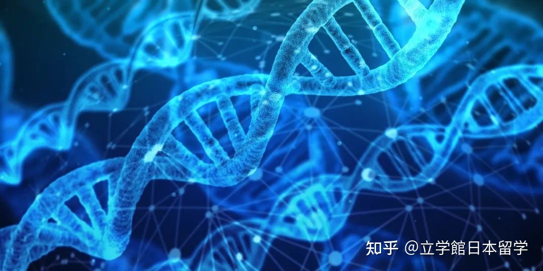 日本升学：生物学修考上岸，你必须知道的成功秘诀！717 / 作者:123457848 / 帖子ID:115324