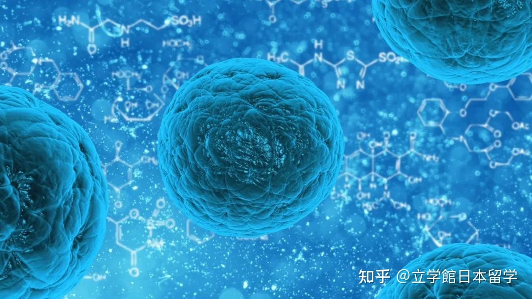 日本升学：生物学修考上岸，你必须知道的成功秘诀！447 / 作者:123457848 / 帖子ID:115324