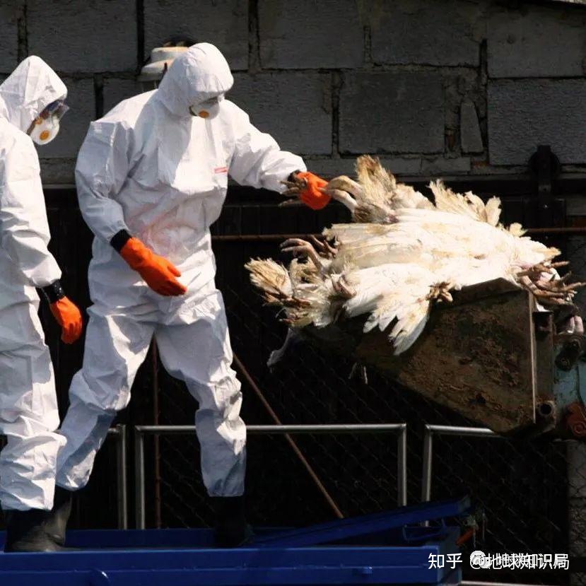 为什么朋友圈那么多人“甲”了？| 地球知识局128 / 作者:123457682 / 帖子ID:115422