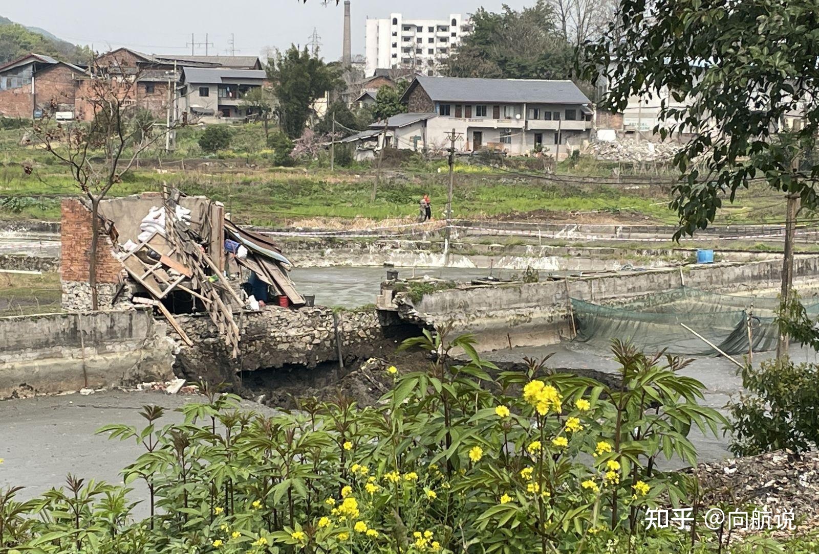 重庆一鱼塘现神秘大坑吞噬 2 万斤鱼，知情人相关部门已介入 ...698 / 作者:joanne941 / 帖子ID:115442