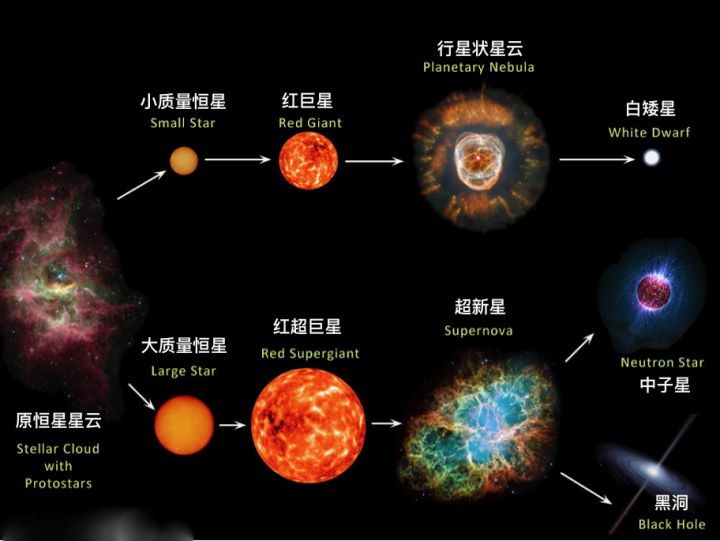 宇宙演化556 / 作者:温润而哲 / 帖子ID:115445