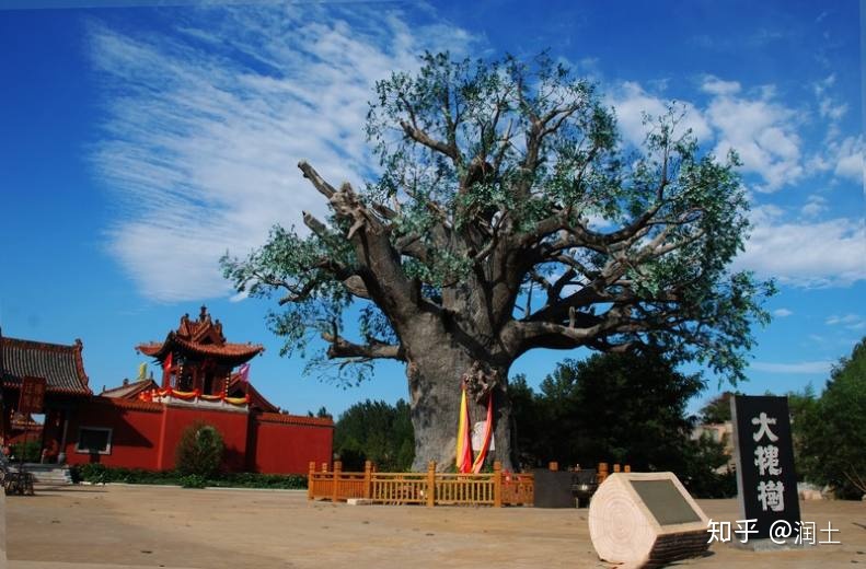 寻根问祖——山西洪洞县【大槐树】的由来-6.jpg