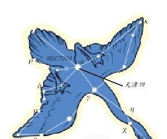 天文星座知识汇总792 / 作者:散漫竹子 / 帖子ID:115520
