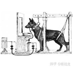 心理学知识分享之六心理学是门什么样的科学510 / 作者:爱过就是完全脖 / 帖子ID:115568