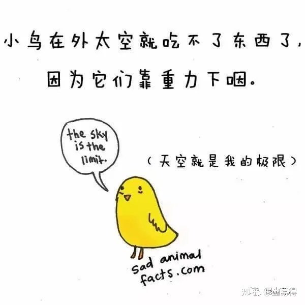 30个有趣的科普小知识，你知道几个？121 / 作者:我能陪你变老 / 帖子ID:115626
