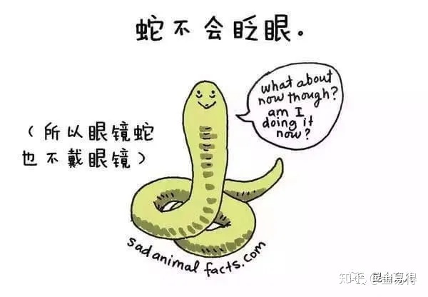 30个有趣的科普小知识，你知道几个？866 / 作者:我能陪你变老 / 帖子ID:115626