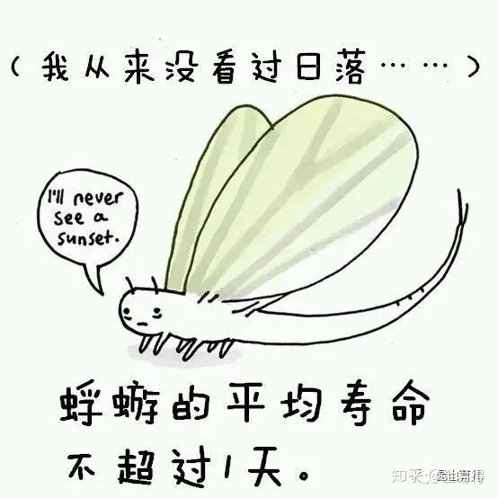 30个有趣的科普小知识，你知道几个？784 / 作者:我能陪你变老 / 帖子ID:115626