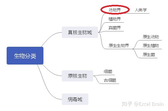 生物分类表461 / 作者:两把木椅狭 / 帖子ID:115831