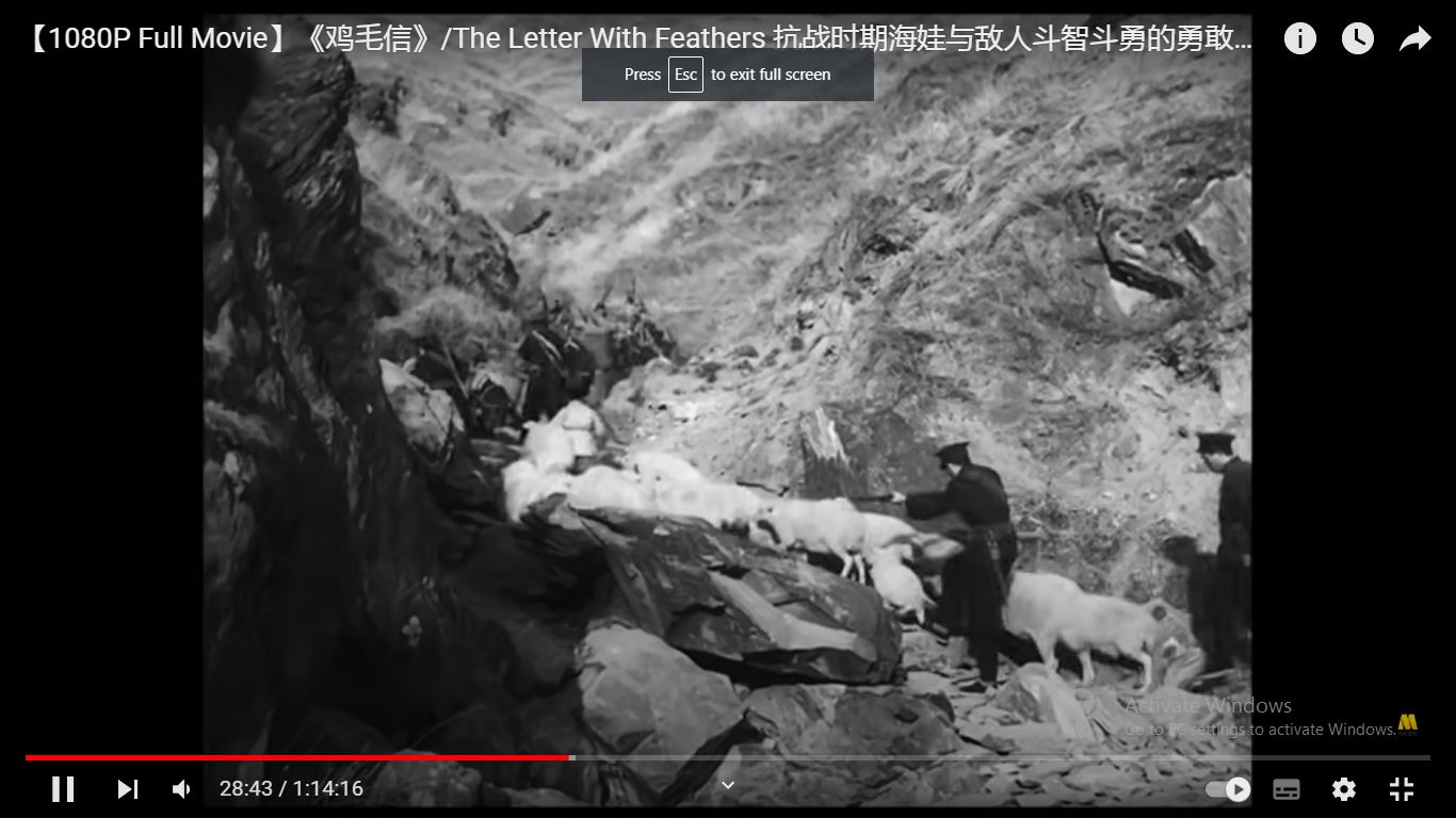 老电影看历史系列（四）：《鸡毛信》抗日时期的民间小英雄-2.jpg