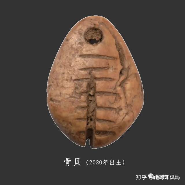 二里头遗址新发现 | 地球知识局410 / 作者:123457210 / 帖子ID:116025