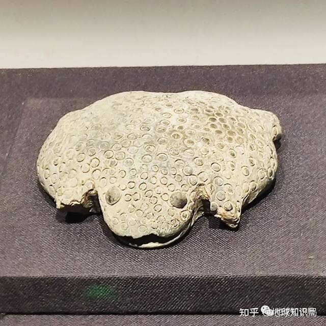 二里头遗址新发现 | 地球知识局57 / 作者:123457210 / 帖子ID:116025