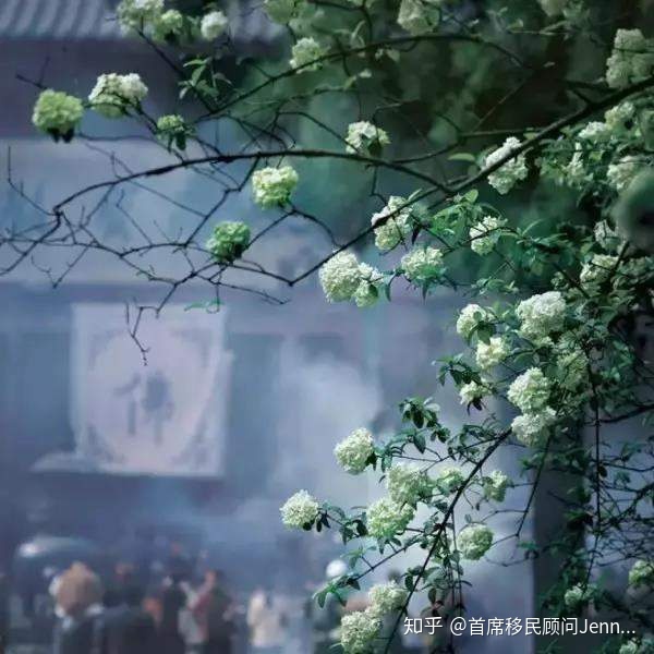 全球消费最低的17个国家，让你尽情享受出国乐趣12 / 作者:教风三应博 / 帖子ID:116040