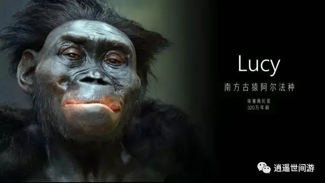人类这个物种还会继续进化吗？ 上827 / 作者:胖胖龙龙灯 / 帖子ID:116093