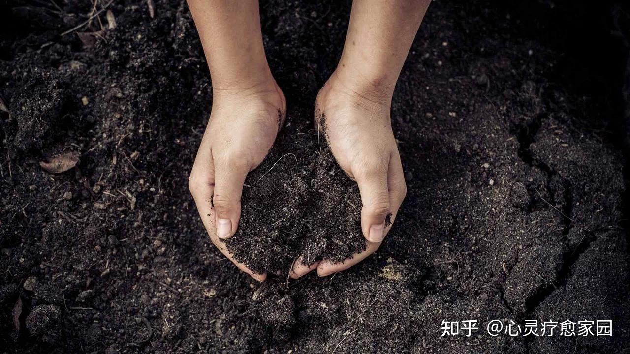 世界地球日 | 你就是地球933 / 作者:涨吧涨吧章 / 帖子ID:116102