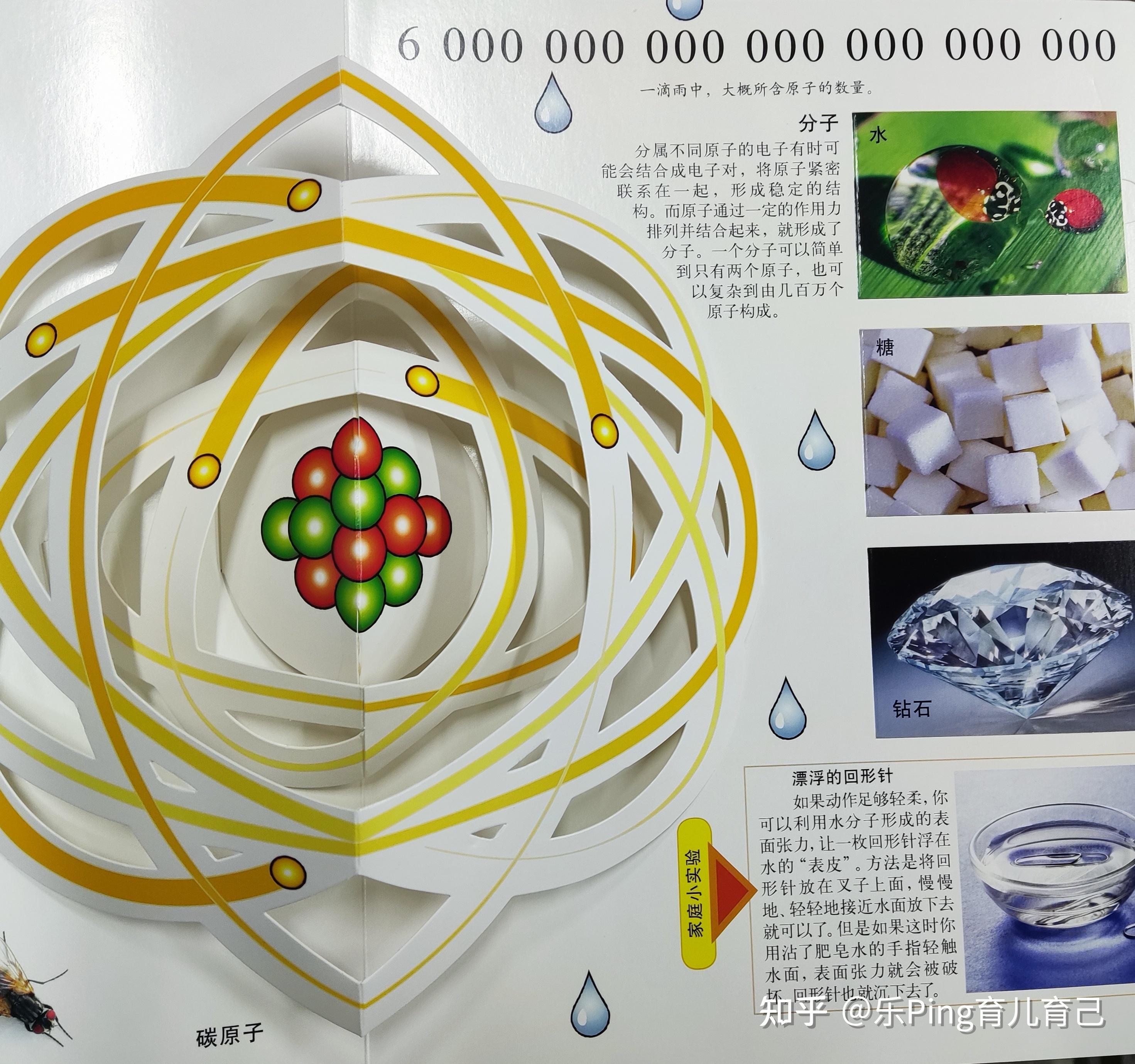孩子在翻一翻、拉一拉中进行炫酷的科学探索342 / 作者:兴冲冲丈 / 帖子ID:116104