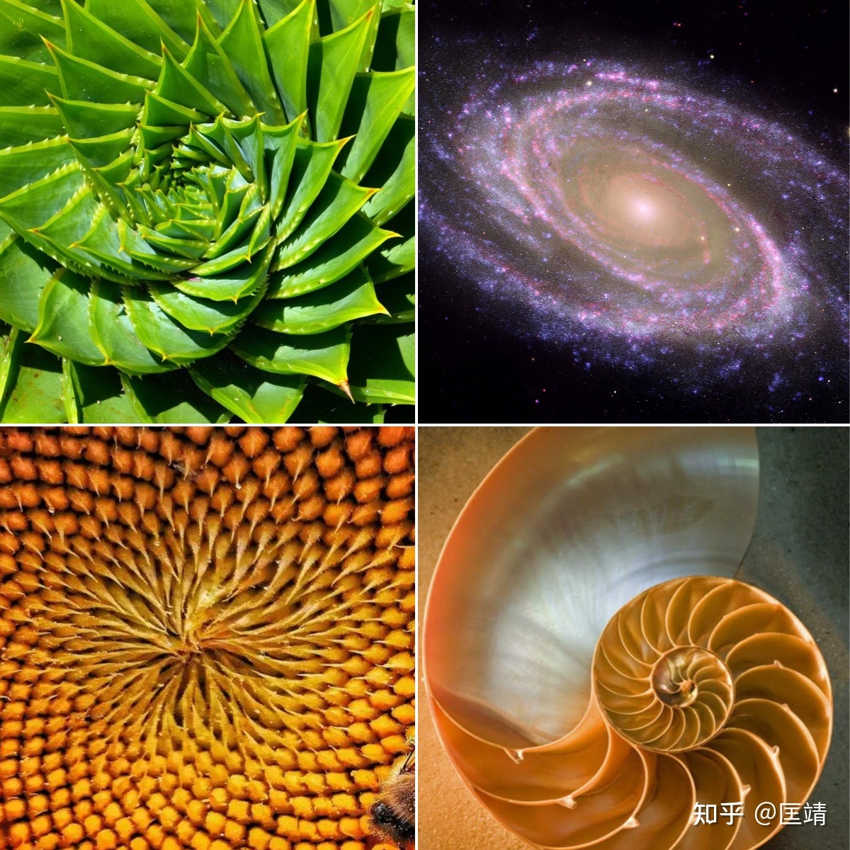 《宇宙探索编辑部》中有哪些细思极恐的细节？944 / 作者:天褐女孩涛 / 帖子ID:116127