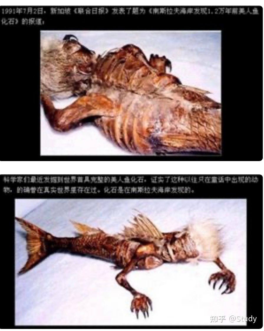 海底人鱼之谜55 / 作者:恋恋青城黄 / 帖子ID:116208