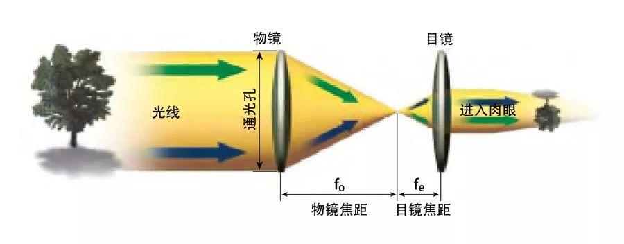 如何选购你的第一台天文望远镜457 / 作者:fsxjjv / 帖子ID:116286