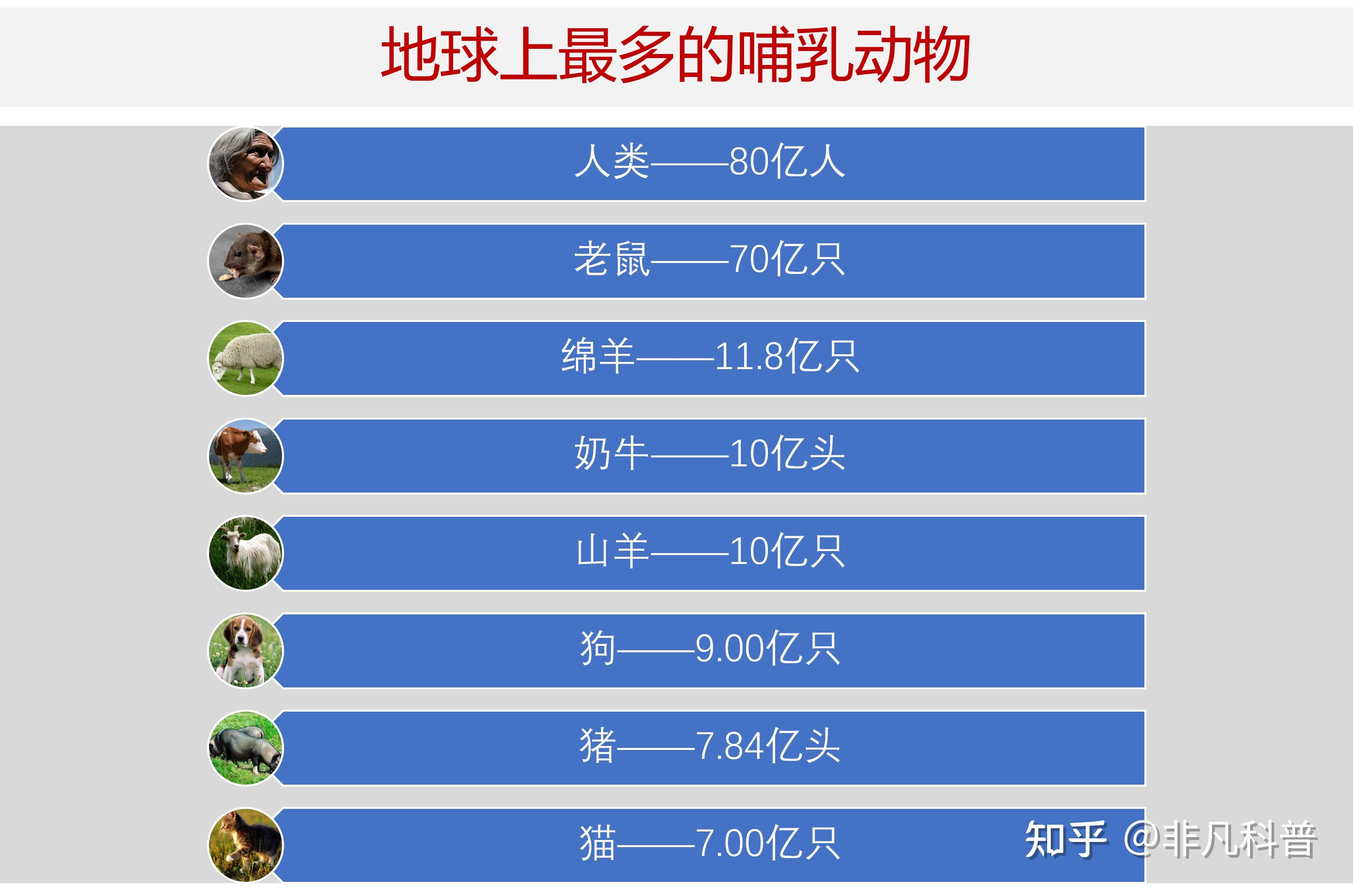 除人类之外，世界上数量最多的哺乳动物是哪些？776 / 作者:爱无声爱留痕列 / 帖子ID:116297