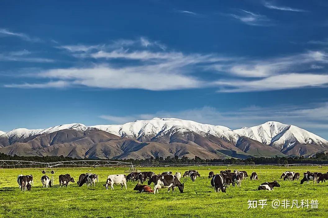 除人类之外，世界上数量最多的哺乳动物是哪些？885 / 作者:爱无声爱留痕列 / 帖子ID:116297