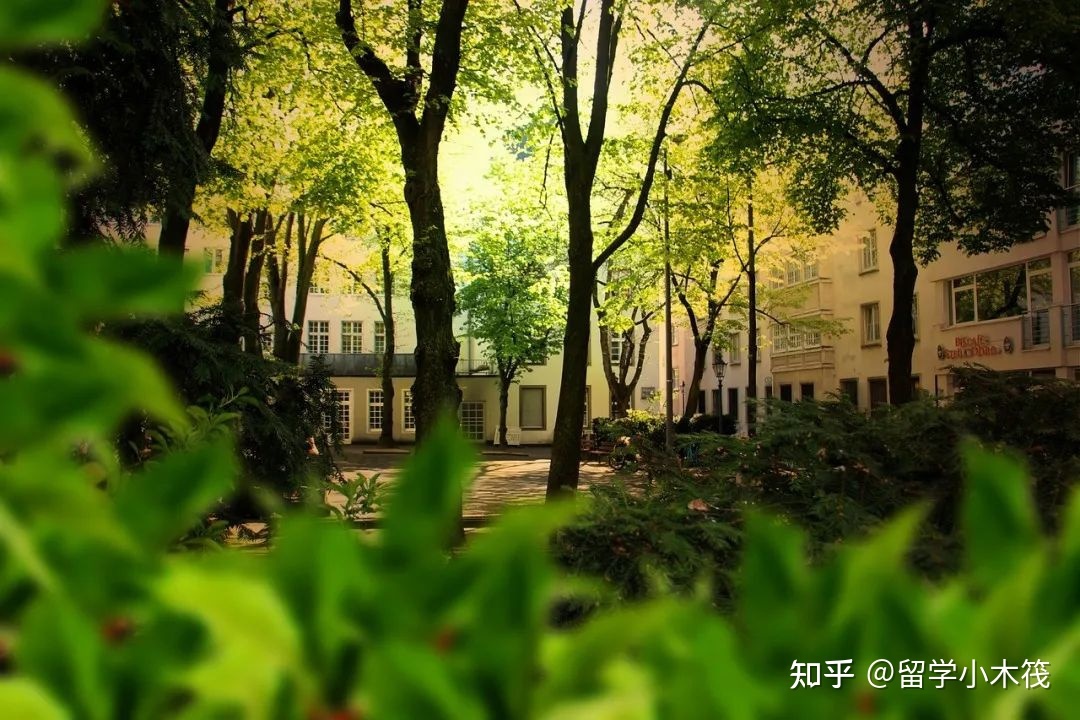 世界上这些奇葩学校，你听说过吗？814 / 作者:因为我是真真 / 帖子ID:116329