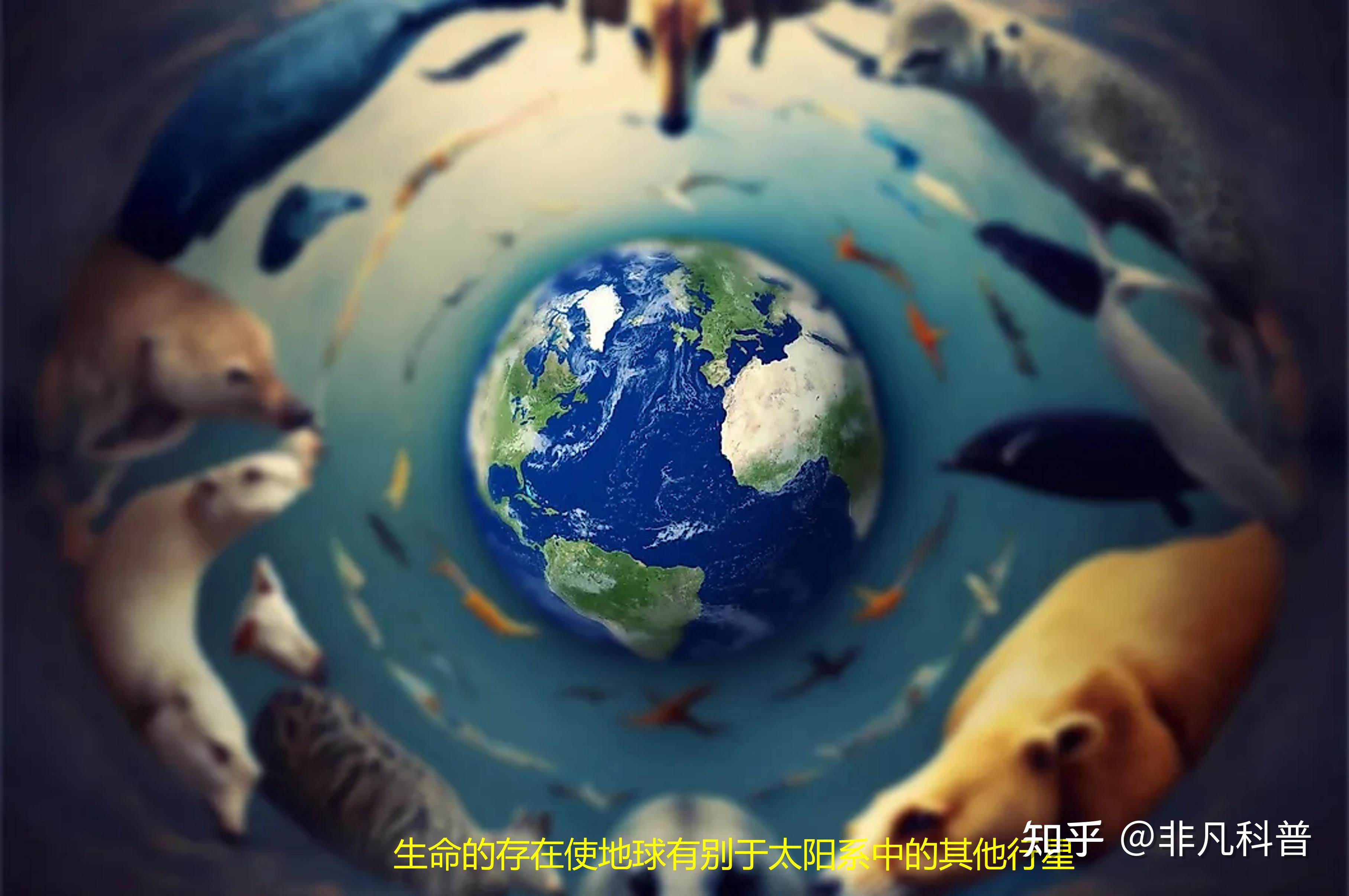 地球是如何形成的？最初的地球与现在的地球是一样的吗 ...986 / 作者:jj13154197690 / 帖子ID:116335